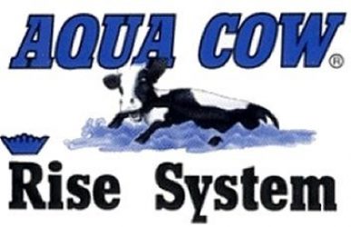 Aqua Cow Box